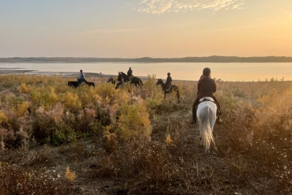 9-daagse paardrijtocht Nurota-bergen, woestijn en Zijderoute - Oezbekistan