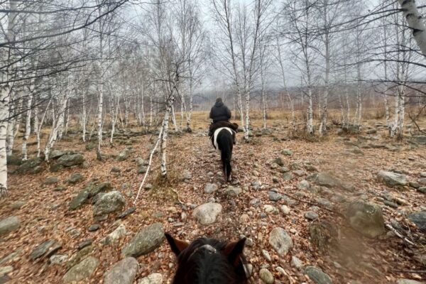 13-daagse paardrijtocht Altaj-gebergte en Katon-Karagay National Park - Kazachstan