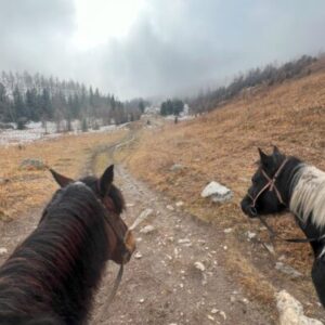 13-daagse paardrijtocht Altaj-gebergte en Katon-Karagay National Park - Kazachstan - Afbeelding 3
