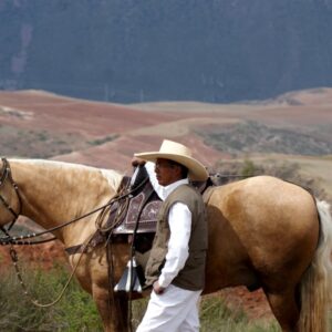 Buitenritten rond Cusco - Peru - Afbeelding 4