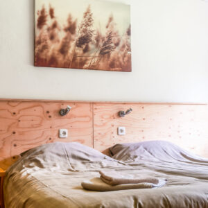 Met je eigen paard op vakantie Loonse en Drunense Duinen Noord-Brabant - Nederland - Afbeelding 9