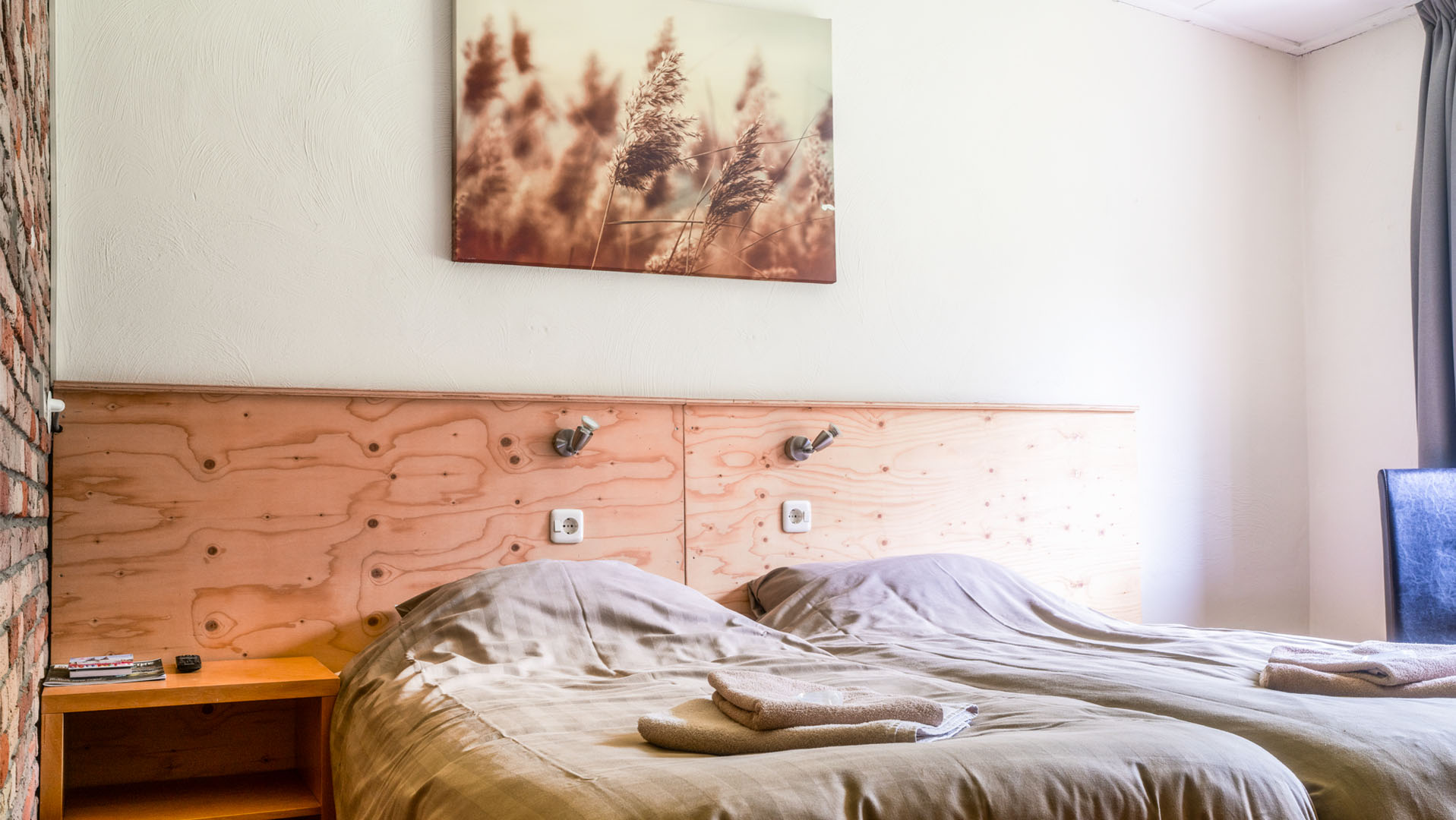 Met je eigen paard op vakantie Loonse en Drunense Duinen Noord-Brabant - Nederland - Afbeelding 9