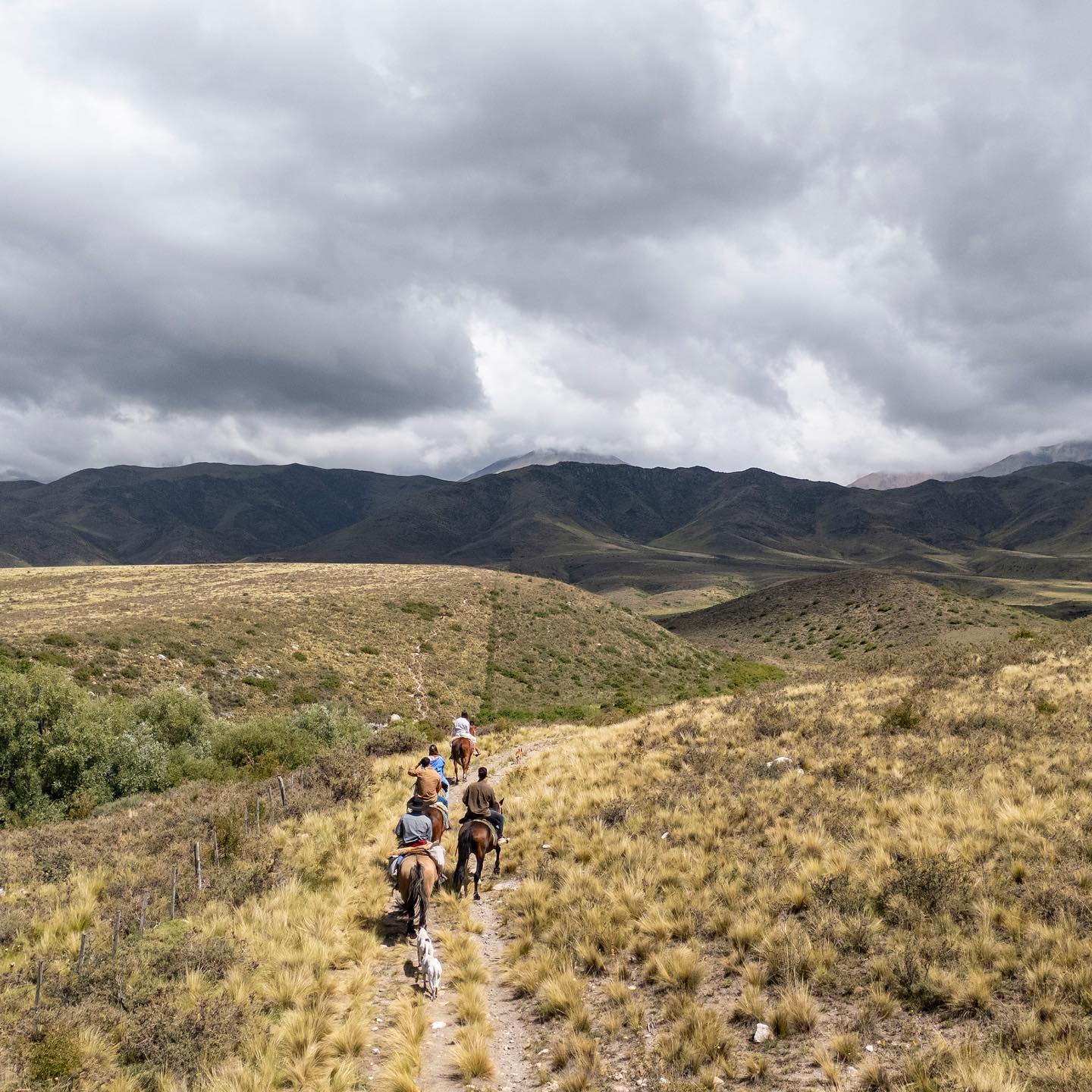 Paardrijden aan de voet van het Andesgebergte - Argentinië - Afbeelding 9