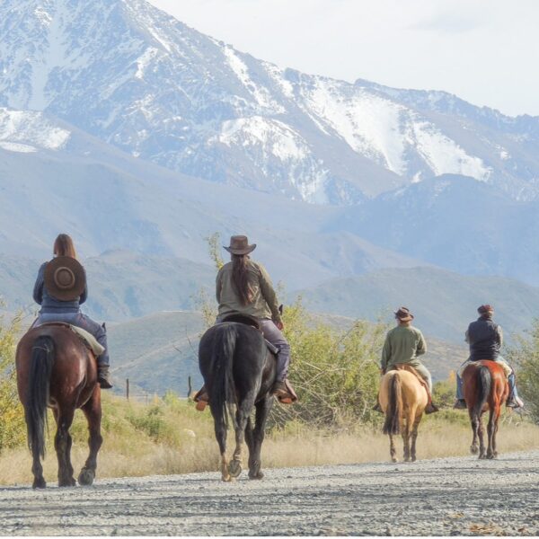 Paardrijden aan de voet van het Andesgebergte - Argentinië