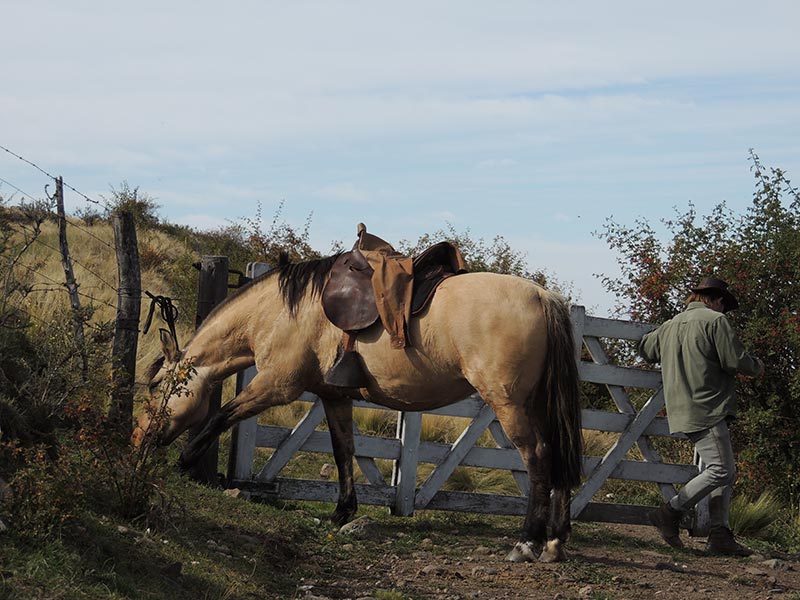 Paardrijden aan de voet van het Andesgebergte - Argentinië