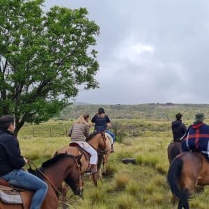 Paardrijden aan de voet van het Andesgebergte - Argentinië - Afbeelding 17