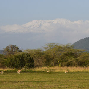 Standplaats Paardrijvakantie Polo, Golf & Wildlife - Tanzania - Afbeelding 18