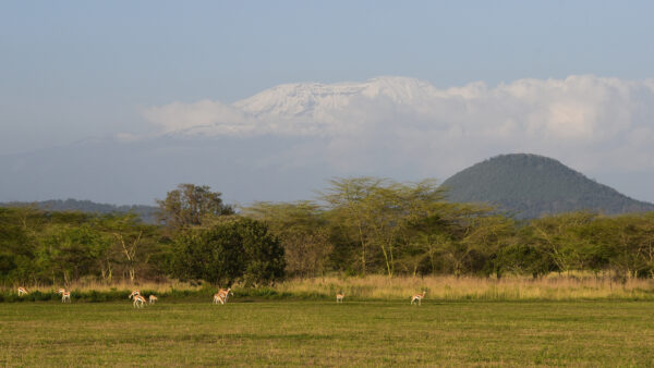 Standplaats Paardrijvakantie Polo, Golf & Wildlife - Tanzania