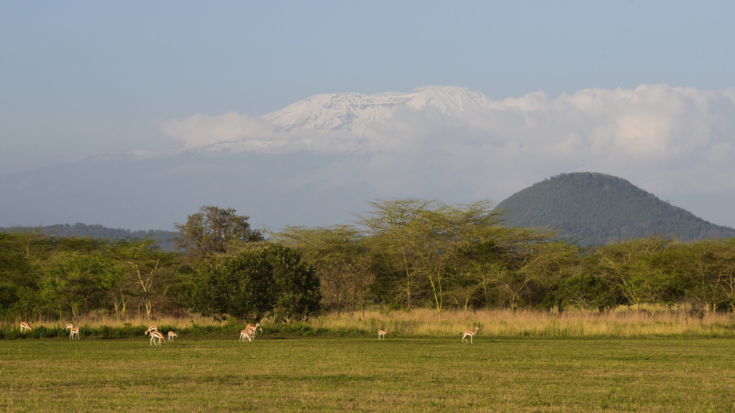 Standplaats Paardrijvakantie Polo, Golf & Wildlife - Tanzania - Afbeelding 18