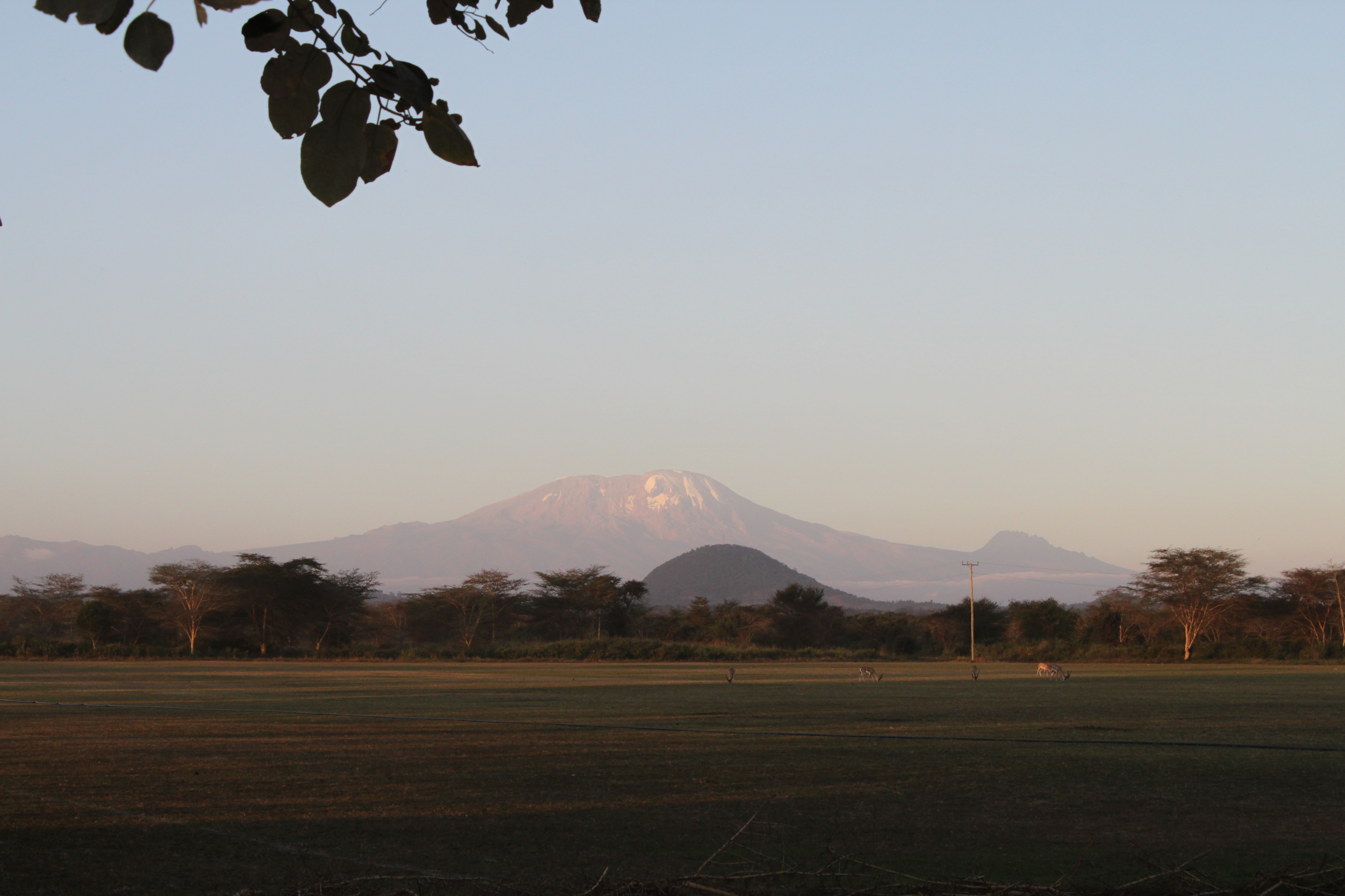 Standplaats Paardrijvakantie Polo, Golf & Wildlife - Tanzania - Afbeelding 19