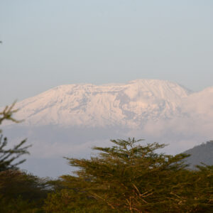 Standplaats Paardrijvakantie Polo, Golf & Wildlife - Tanzania - Afbeelding 16