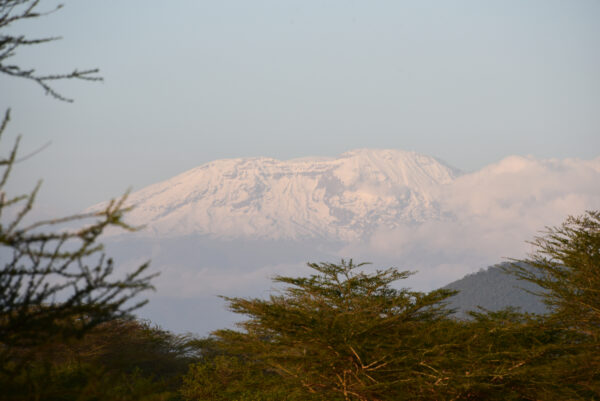 Standplaats Paardrijvakantie Polo, Golf & Wildlife - Tanzania