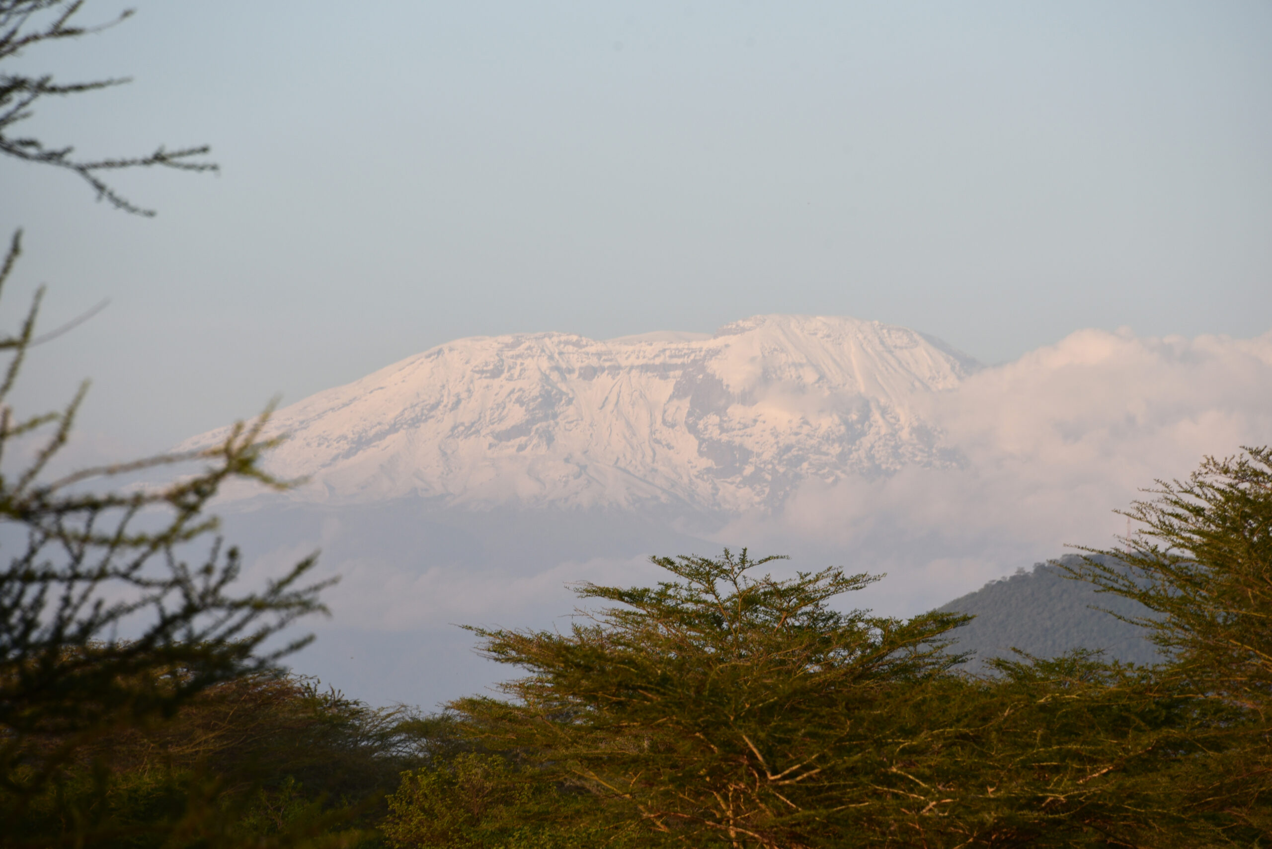 Standplaats Paardrijvakantie Polo, Golf & Wildlife - Tanzania - Afbeelding 16