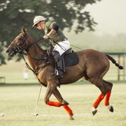 Standplaats Paardrijvakantie Polo, Golf & Wildlife - Tanzania - Afbeelding 17