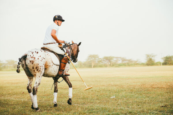 Standplaats Paardrijvakantie Polo, Golf & Wildlife - Tanzania
