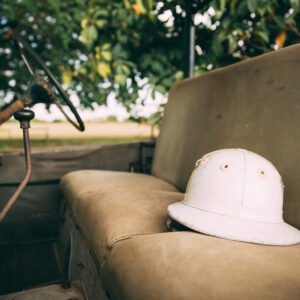 Standplaats Paardrijvakantie Polo, Golf & Wildlife - Tanzania - Afbeelding 6