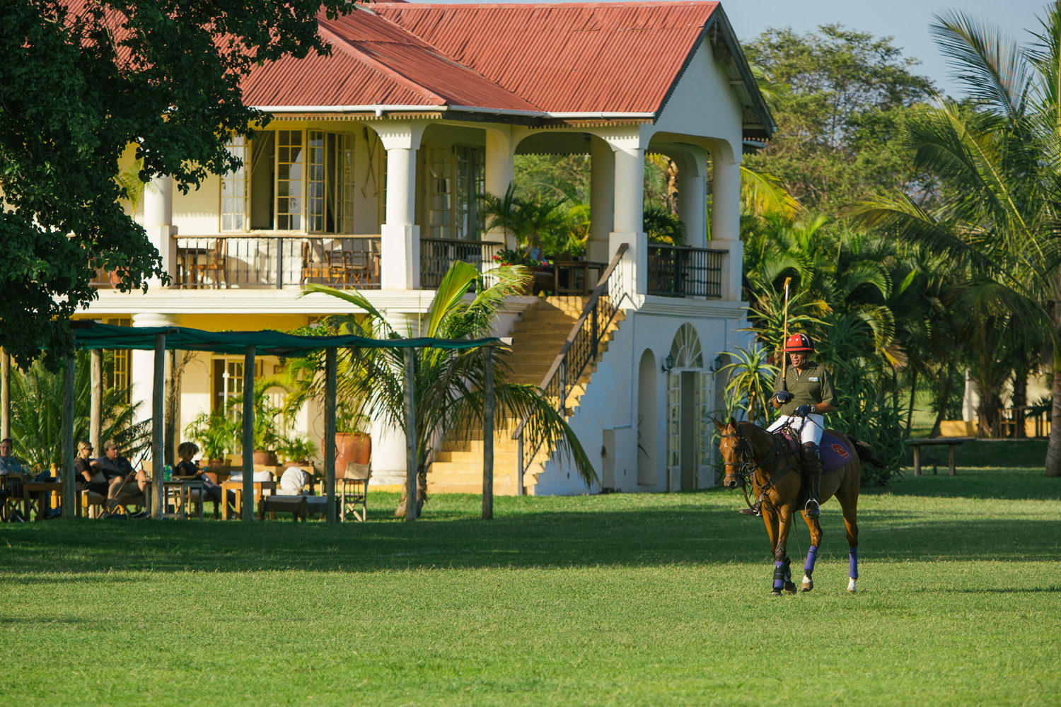 Standplaats Paardrijvakantie Polo, Golf & Wildlife - Tanzania