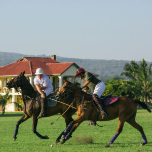 Standplaats Paardrijvakantie Polo, Golf & Wildlife - Tanzania