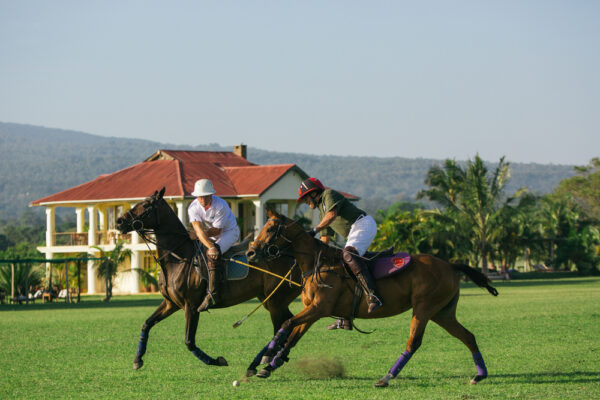 Standplaats Paardrijvakantie Polo, Golf & Wildlife - Tanzania