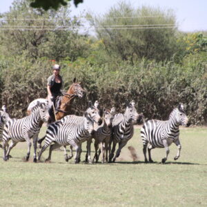 Standplaats Paardrijvakantie Polo, Golf & Wildlife - Tanzania - Afbeelding 28