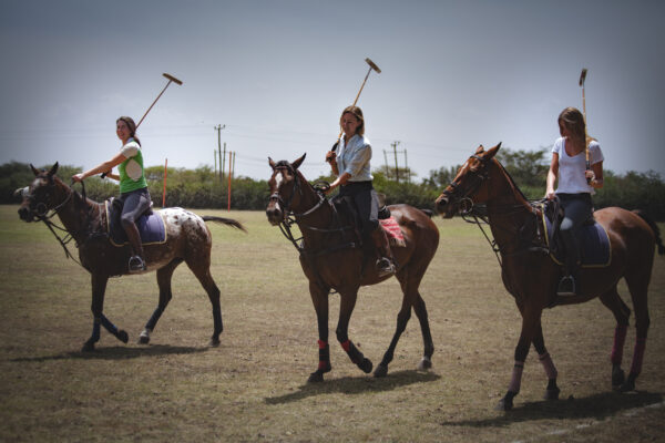 Standplaats Paardrijvakantie Polo, Golf & Wildlife - Tanzania