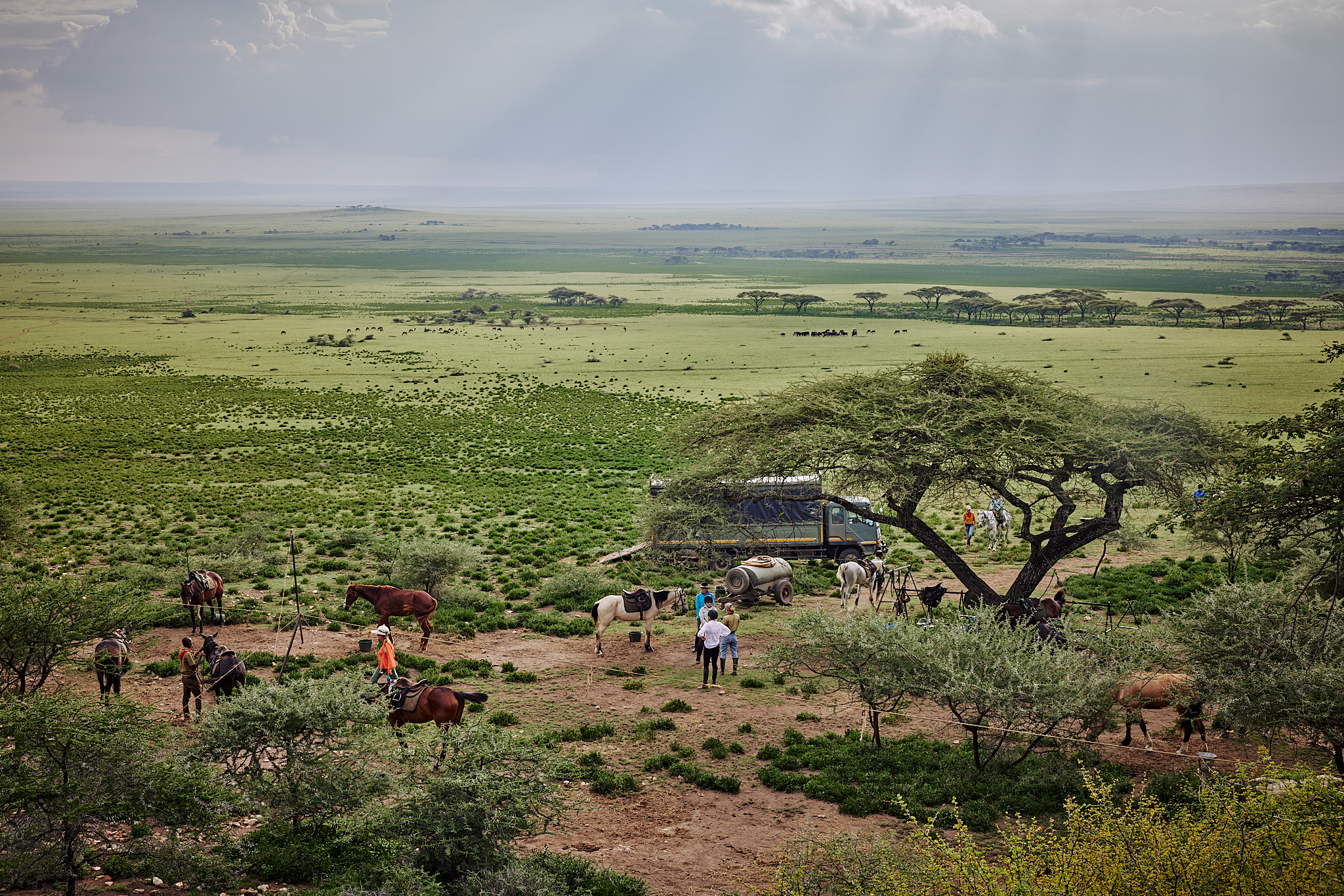 9-daagse Paardrijsafari Serengeti Migratietocht - Tanzania - Afbeelding 24