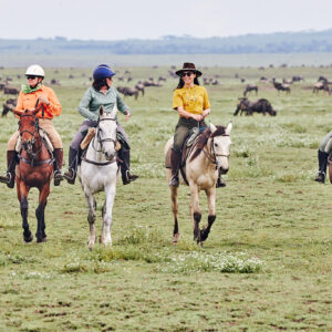 9-daagse Paardrijsafari Serengeti Migratietocht - Tanzania - Afbeelding 18