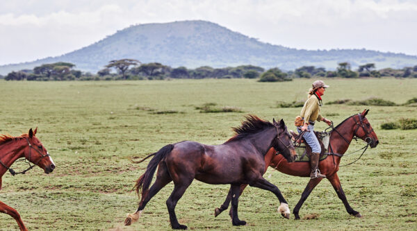 9-daagse Paardrijsafari Serengeti Migratietocht - Tanzania