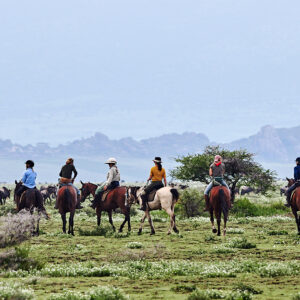 9-daagse Paardrijsafari Serengeti Migratietocht - Tanzania - Afbeelding 12