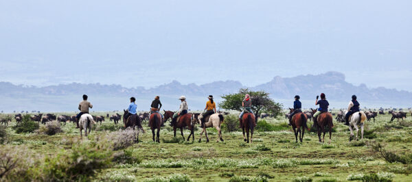 9-daagse Paardrijsafari Serengeti Migratietocht - Tanzania