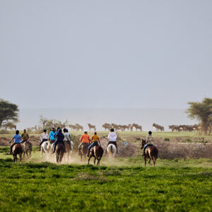 9-daagse Paardrijsafari Serengeti Migratietocht - Tanzania - Afbeelding 23