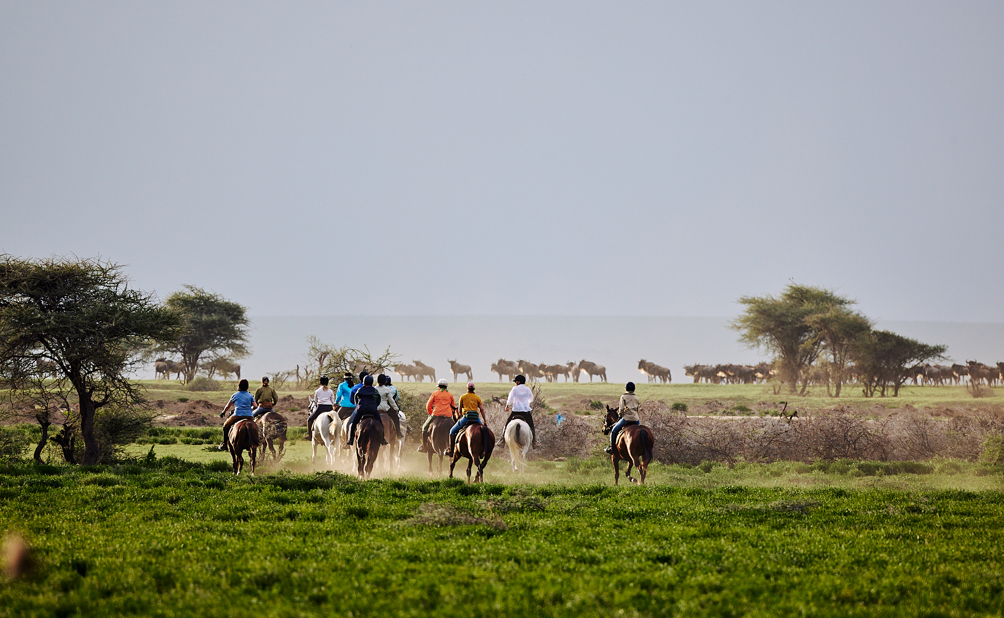 9-daagse Paardrijsafari Serengeti Migratietocht - Tanzania
