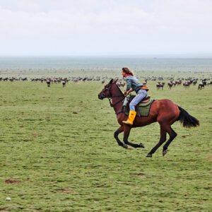 9-daagse Paardrijsafari Serengeti Migratietocht - Tanzania - Afbeelding 10