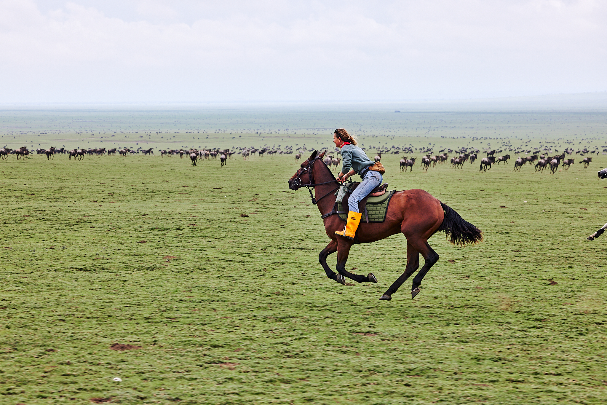 9-daagse Paardrijsafari Serengeti Migratietocht - Tanzania