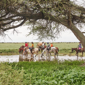 9-daagse Paardrijsafari Serengeti Migratietocht - Tanzania - Afbeelding 7