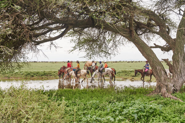 9-daagse Paardrijsafari Serengeti Migratietocht - Tanzania