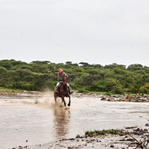 9-daagse Paardrijsafari Serengeti Migratietocht - Tanzania - Afbeelding 5