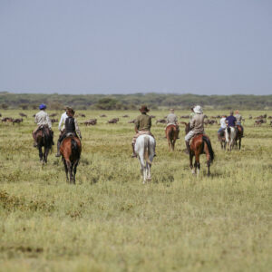 9-daagse Paardrijsafari Serengeti Migratietocht - Tanzania - Afbeelding 3