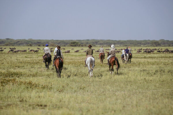 9-daagse Paardrijsafari Serengeti Migratietocht - Tanzania