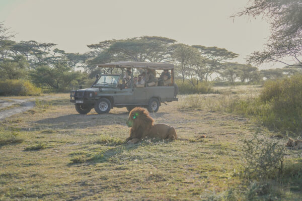 9-daagse Paardrijsafari Serengeti Migratietocht - Tanzania