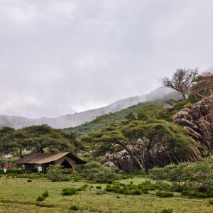 9-daagse Paardrijsafari Serengeti Migratietocht - Tanzania - Afbeelding 22