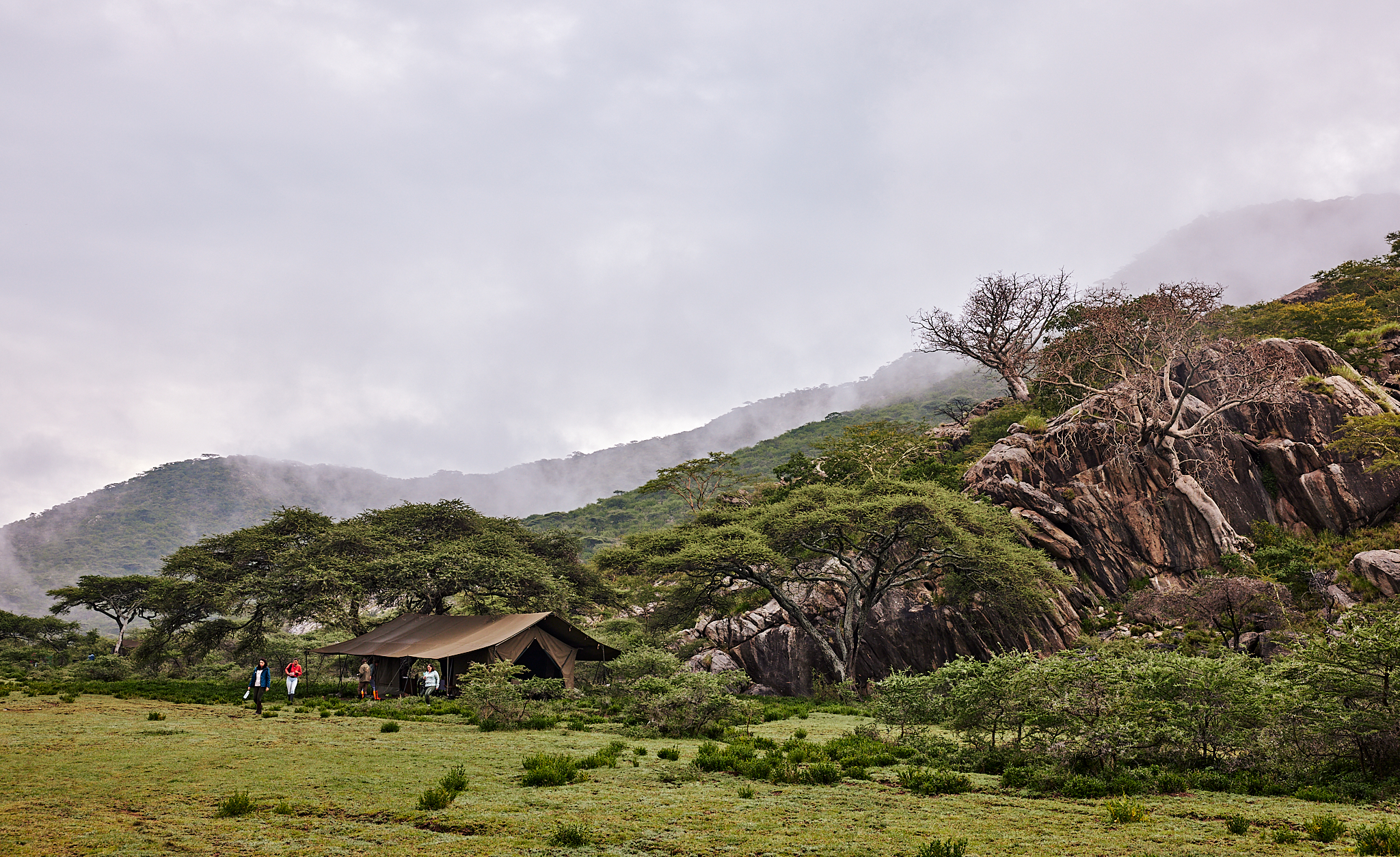 9-daagse Paardrijsafari Serengeti Migratietocht - Tanzania - Afbeelding 22