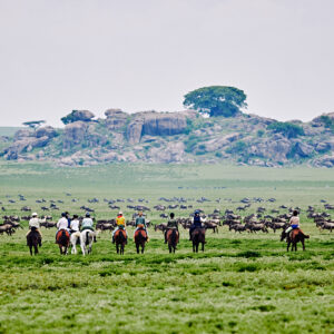 9-daagse Paardrijsafari Serengeti Migratietocht - Tanzania