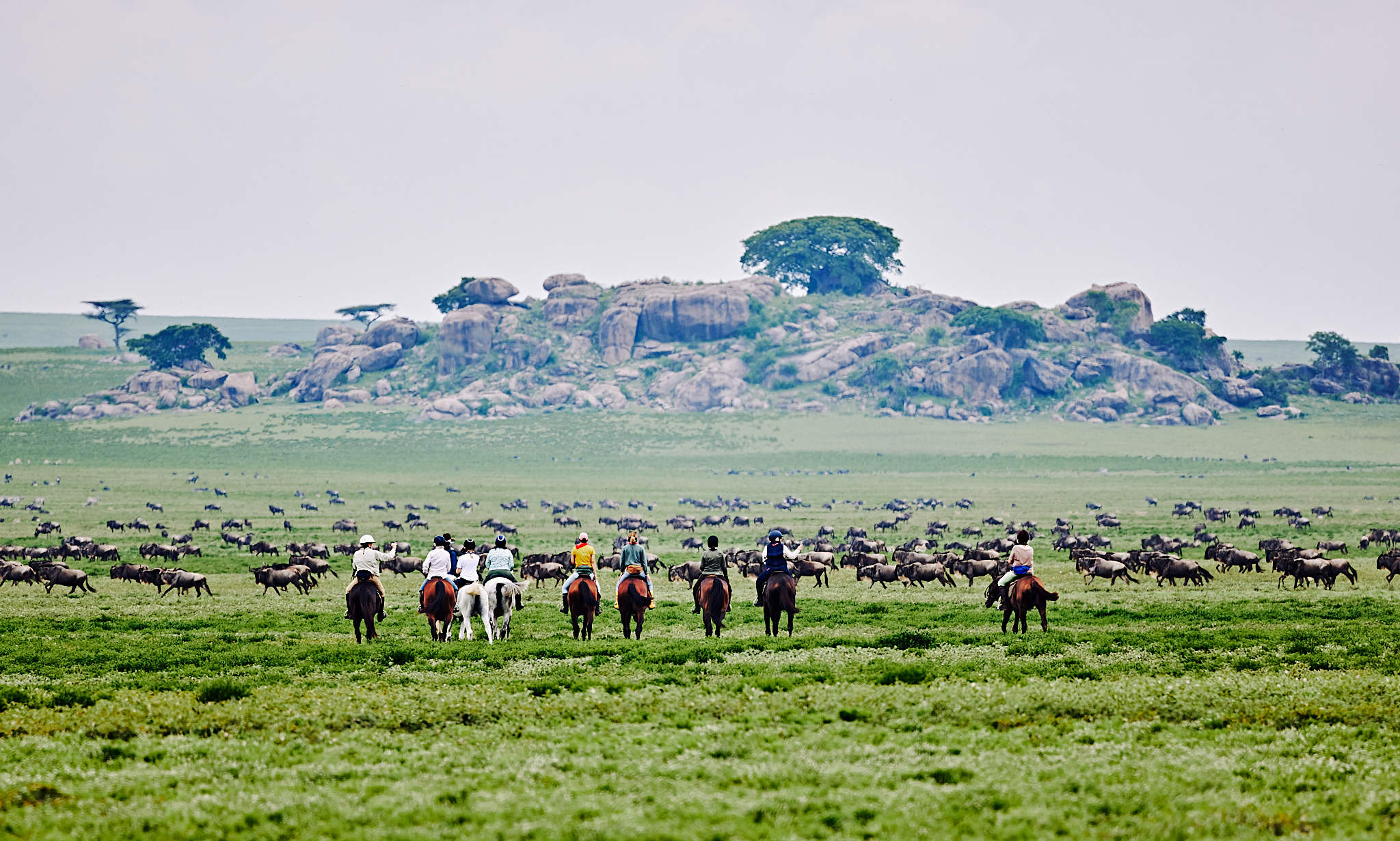 9-daagse Paardrijsafari Serengeti Migratietocht - Tanzania - Afbeelding 1