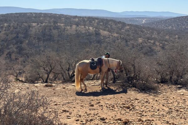 8-daagse paardrijtocht van Agadir naar Essaouira - Marokko