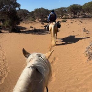 8-daagse paardrijtocht van Agadir naar Essaouira - Marokko - Afbeelding 16