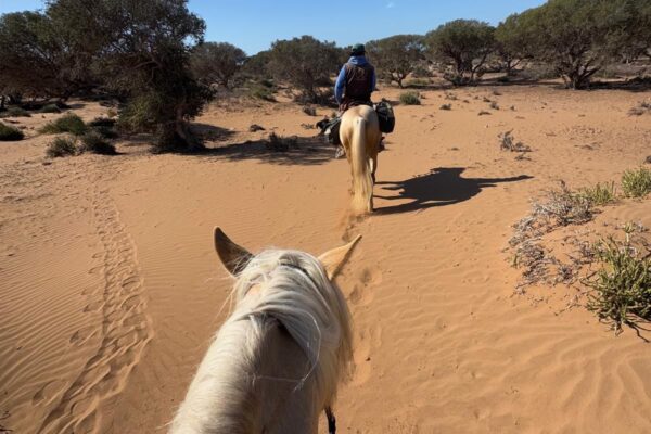 8-daagse paardrijtocht van Agadir naar Essaouira - Marokko