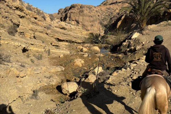 8-daagse paardrijtocht van Agadir naar Essaouira - Marokko