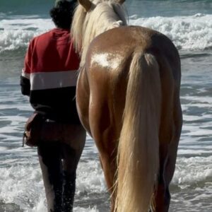 8-daagse paardrijtocht van Agadir naar Essaouira - Marokko - Afbeelding 12