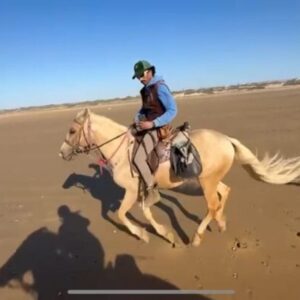 8-daagse paardrijtocht van Agadir naar Essaouira - Marokko - Afbeelding 10